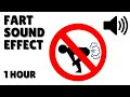 Fart Sound Effect 1 Hour Farting Sound