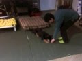Sadie Adoption Video