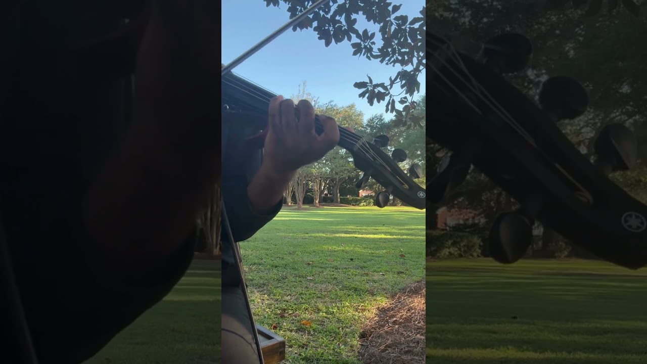 Promotional video thumbnail 4 for Violinist, Jeremiah Moultrie