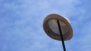 Rain(I want a Divorce!) Ryuichi Sakamoto