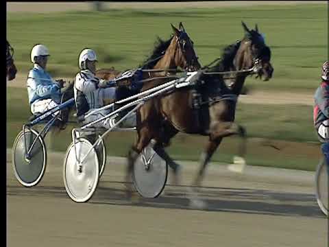 Trotto 02/03/2018 - 4ª corsa