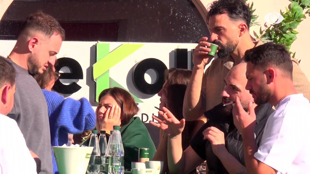 Ti je papagalli i shtëpisë, dyfytyrsh.../ Xumi bisedon me Bernardin