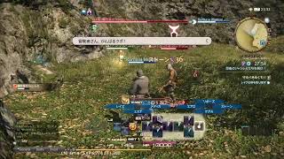 FF14体験中二日目