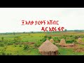 ፲ አለቃ ታረቀኝ አሸብር - ዱር አዳሪው ፋኖ (ሽለላ እና ቀረርቶ) | 10 Aleqa  Tarekeg