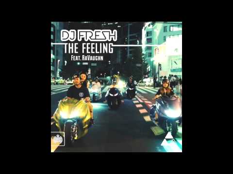 DJ Fresh Feat RaVaughn - The Feeling (Metrik Remix)
