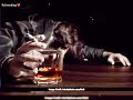 Sharab Kaisi Khumar Kaisa Song Video Status Very Sad Status Sad Boy Whatsapp S Status