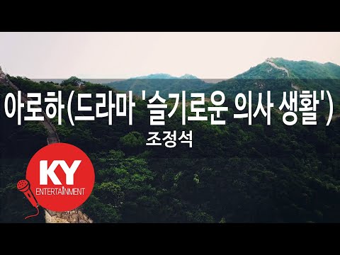 아로하(드라마 '슬기로운 의사 생활') - 조정석(Aloha - CHO JUNG SEOK) (KY.27615) / KY Karaoke