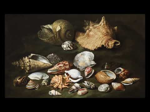 Giovanni Bassano (c.1561-1617) - Ricercare per strumenti insieme