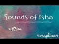 Sounds Of Isha Bloom Yoga Padhi Meditative Music Instrumental NAMASKARAM