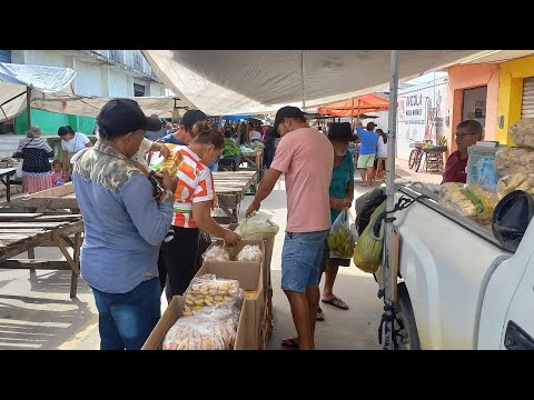 feira livre de saloá Pe. 30/04/24