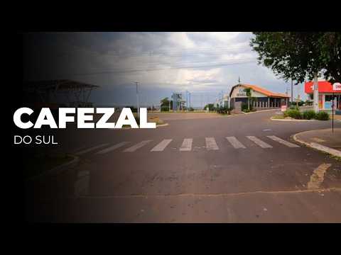 Cafezal do Sul | POV Dashcam Drive | Paraná, Brasil