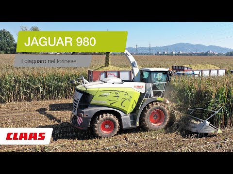 CLAAS In Campo 2020 - JAGUAR 980 nel torinese