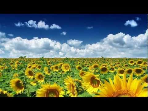 We are Awakening ˙·٠•●♥❤ Deva Premal & Miten