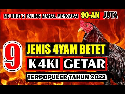 , title : '9 Jenis Ayam Betet  KAKI GETAR populer Tahun 2022   ||  No Urut 2 yang Paling Mahal'