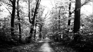 Crimson Moonlight - When the Darkness Cannot Reach ( legendado )