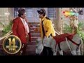 Best Of Hindi Comedy Scenes Movie Hadh Kar Di Aapne लड़की को भगाने के �