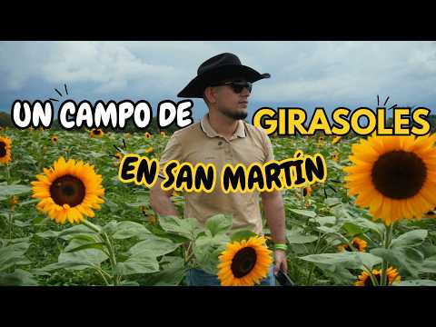 El Municipio Más Antiguo del Meta | SAN MARTÍN y sus Legendarias Cuadrillas