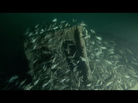 Vidéo du Chalutier à Benoît 2024