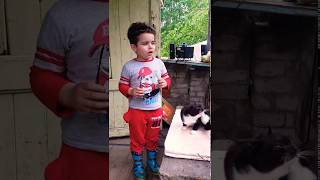 КАК ОДЕТЬ ОЧКИ НА КОТЕНКА ! ))) СМЕШНОЕ ВИДЕО
