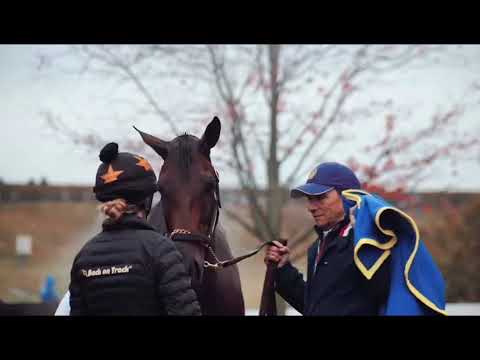 BLUE STRIPE BREEDERS CUP DISTAFF 2022 KEENELAND