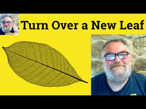 🔵 Turn Over a New Leaf Meaning - Turn Over a New Leaf Defined - Turn Over a New Leaf Definition