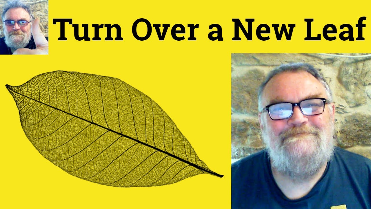 🔵 Turn Over a New Leaf Meaning - Turn Over a New Leaf Defined - Turn Over a New Leaf Definition