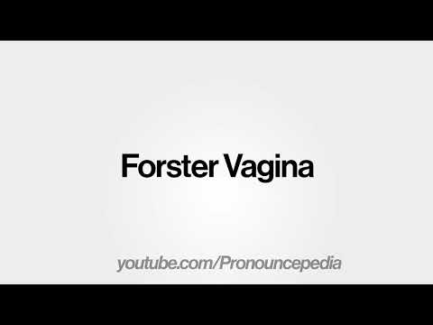 How to Pronounce Forster Vagina in American English