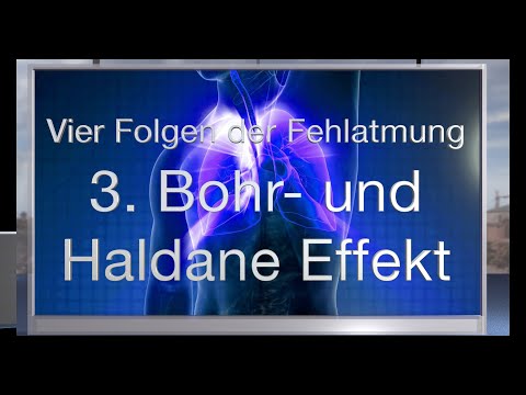 Vier physiologische Folgen von funktionellen Atemstörungen: 3. Der Bohr- und Haldane-Effekt