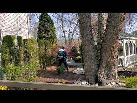 Ticks Terminated in Colts Neck, NJ