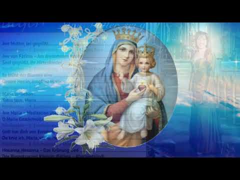 Brigitte Traeger Ave von Fatima am dreizehten Maien