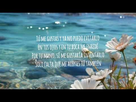 Tu me gustas- Nueva marca