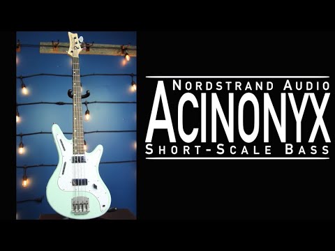 Nordstrand Acinonyx Bass image 21