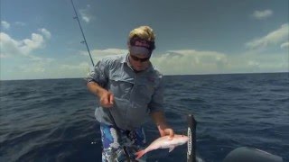 preview picture of video 'KEY LARGO snapper fishing'