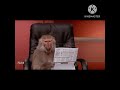Comedy Animal Version Simply Waste Senthil Comedy Viral