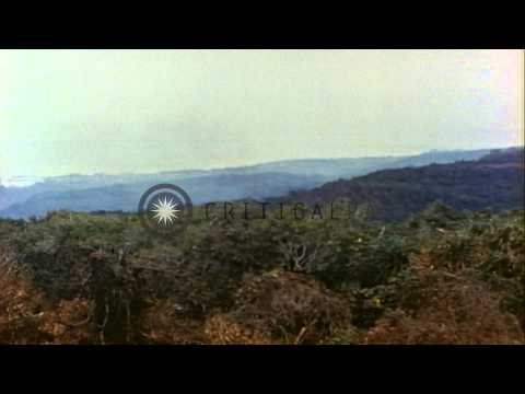 US Marines at Island during invasion of Saipan in Mariana Islands. HD Stock Footage