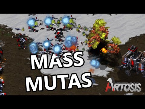 Mass Mutalisks vs Mass Goliaths - Light vs. Sacsri