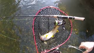 Shimano stradic ci4 fb 1000