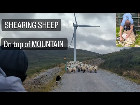 thumbnail should come from youtube 