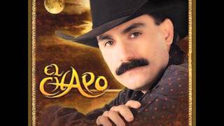 Si yo fuera ladron - El Chapo De Sinaloa
