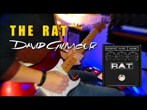 The RAT • Review for Gilmour and Pink Floyd sound