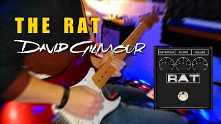 Video thumbnail for The RAT • Review for Gilmour and Pink Floyd sound by Francesco Carpentieri