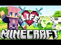 Moo Moo Meadows Ep 2 Minecraft X Life SMP