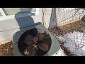 A Wide Gap Invites Mice Into Home in Plainsboro, NJ
