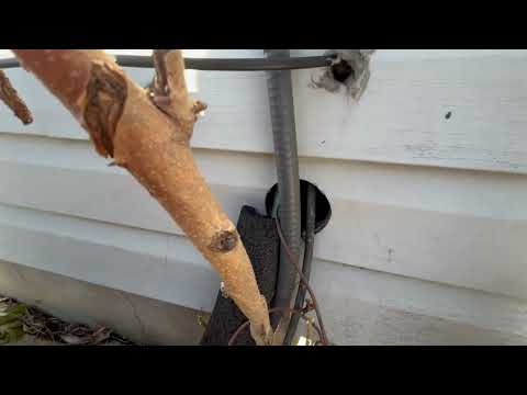 A Wide Gap Invites Mice Into Home in Plainsboro, NJ