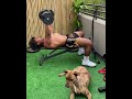 Flat DB Chest Press ( With Band to Add Resistance)