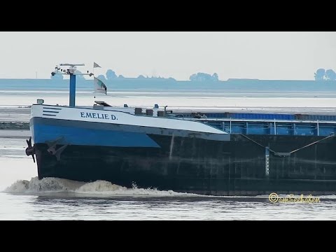 GMS EMELIE D DB2292 211475120 Emden inland cargo ship merchant vessel Binnenschiff
