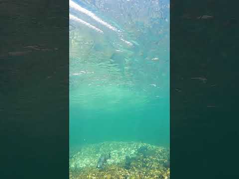 The Secret to Better Fly Selection