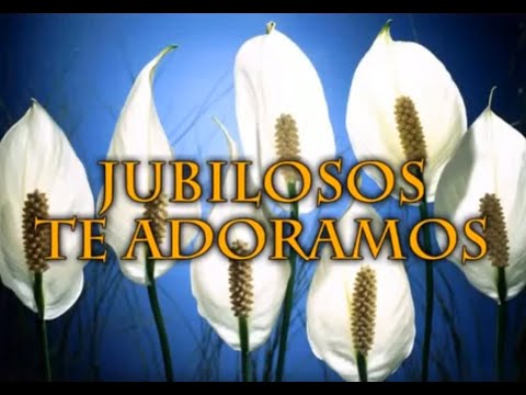 Hino 14: JUBILOSOS TE ADORAMOS. Hinário Adventista do Sétimo Dia (Hinário IASD)