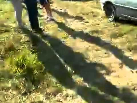 Skizotek vs Donfaye - La Grosse Sapine , le  28/07/2007