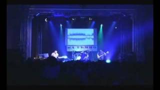 Gravity Co - Chameleon